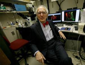 稳定的交易网站推荐的ddos网页版